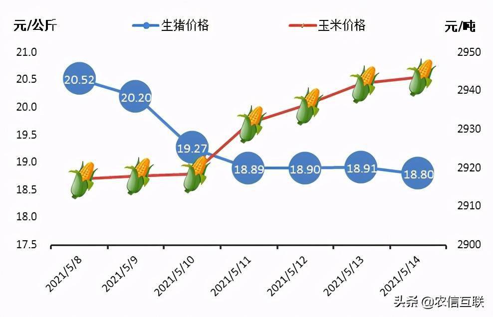 技术如 第33页